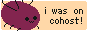 site button
