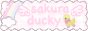 sakuraducky
